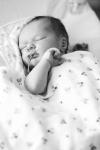 IMG_1042 - Version 2.jpg